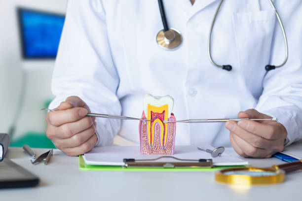 Best Root Canal Emergency Dentist  in Missouri Valley, IA